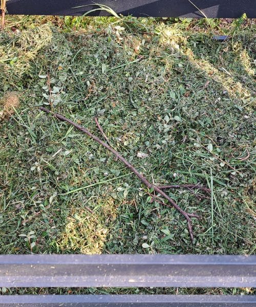 Sveže pokošena trava na kompost: da, vendar le pod enim pogojem