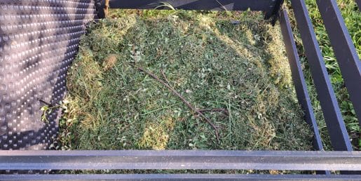 Sveže pokošena trava na kompost: da, vendar le pod enim pogojem