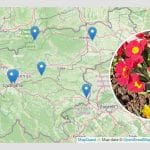 Ulice v Sloveniji z aprilom v imenu
