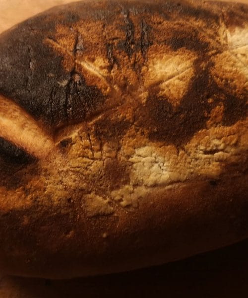 Pečete kruh, pa se vam vedno preveč zapeče? Težava je v tej podrobnosti