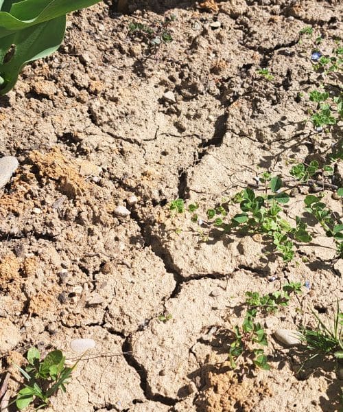 Ta znak na zemlji pomeni, da rastline ne dobijo dovolj zraka