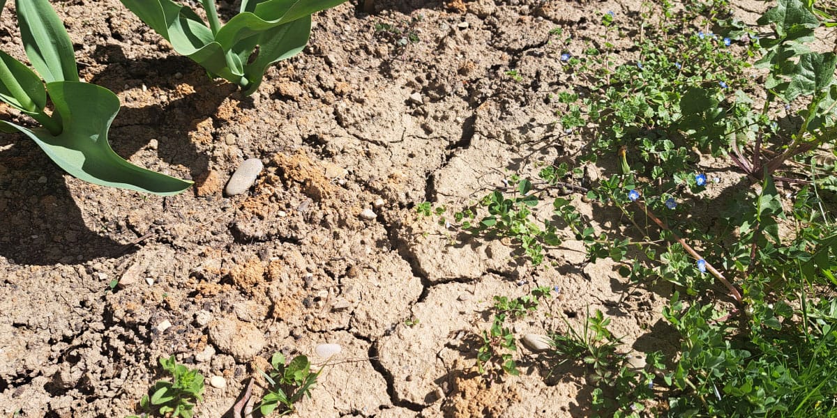 Ta znak na zemlji pomeni, da rastline ne dobijo dovolj zraka