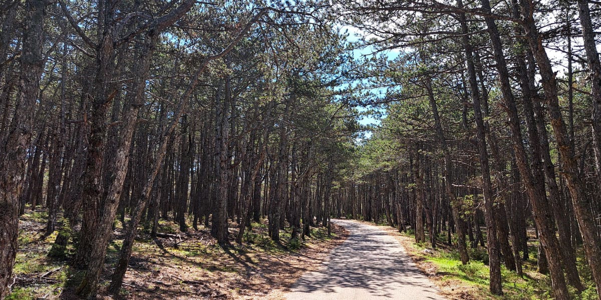 Bol, Vidova gora, Brač