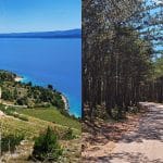Camino Brač