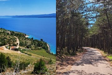 Camino na Hrvaškem: nova pohodniška zgodba, ki jo bodo Slovenci hitro vzeli za svojo