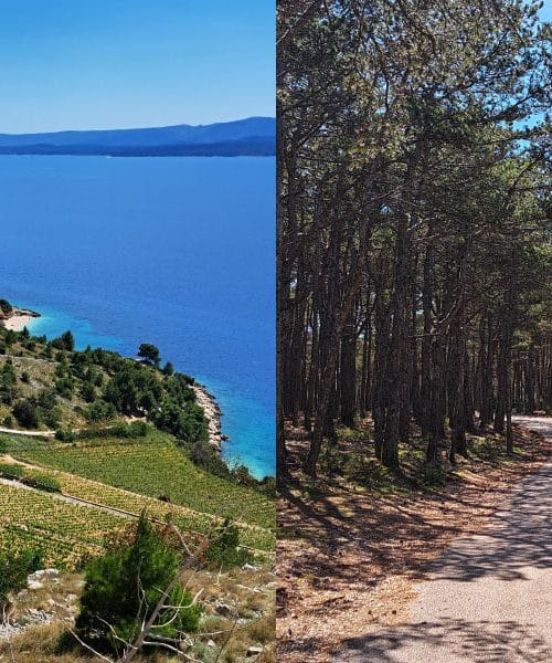 Camino na Hrvaškem: nova pohodniška zgodba, ki jo bodo Slovenci hitro vzeli za svojo