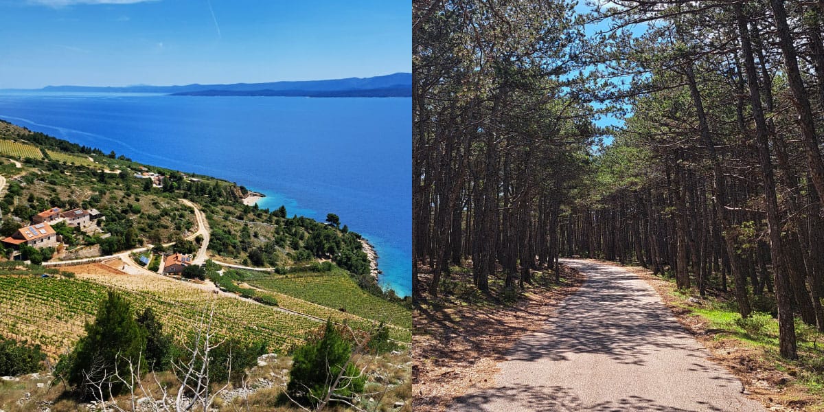 Camino na Hrvaškem: nova pohodniška zgodba, ki jo bodo Slovenci hitro vzeli za svojo