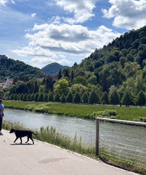 Kam na družinski izlet z otroki? Celje ima več adutov, kot jih pričakujete