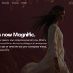 Freepik, magnific
