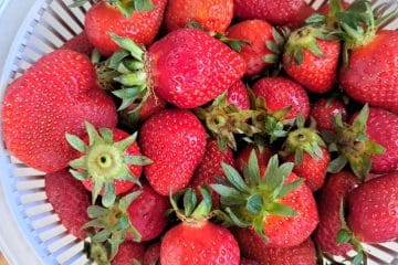 Na Wimbledonu pojedo več kot 2,5 milijona jagod: tradicija, ki je skoraj tako slavna kot tenis
