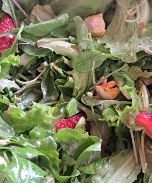 Jagode v zeleni solati s piščancem: kombinacija, ki deluje bolje od pričakovanj