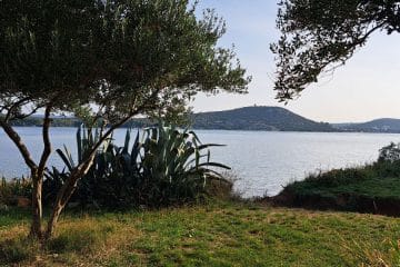 Slovenci na Jadranu obožujemo ta jutranji ritual, čeprav si ga doma skoraj ne privoščimo