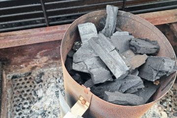 Kdaj zakuriti oglje za žar pred kosilom