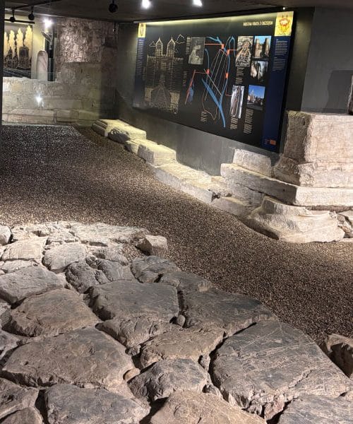 Knežji dvor v Celju: izlet v palačo, pod katero se skriva rimsko mesto