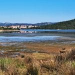 Pirovac, Hrvaška