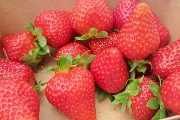 To so živila, ki jih Slovenci maja najpogosteje pozabimo dati na krožnik