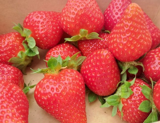 To so živila, ki jih Slovenci maja najpogosteje pozabimo dati na krožnik