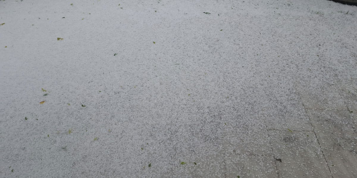 Neurje s sodro, 12. maj 2026