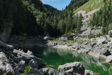 V teh slovenskih jezerih je kopanje prepovedano, čeprav vabijo bolj kot kopališča