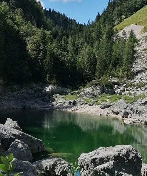 V teh slovenskih jezerih je kopanje prepovedano, čeprav vabijo bolj kot kopališča