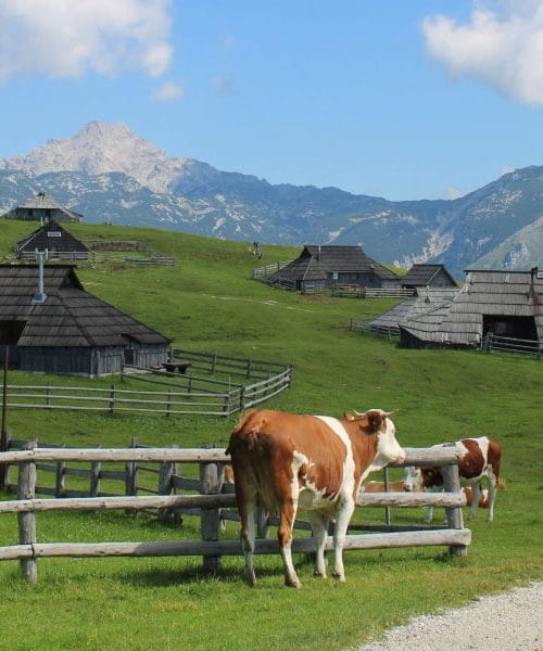 Pred poletjem je zdaj najboljši trenutek za obisk teh slovenskih kotičkov