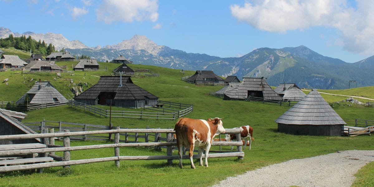 Velika Planina