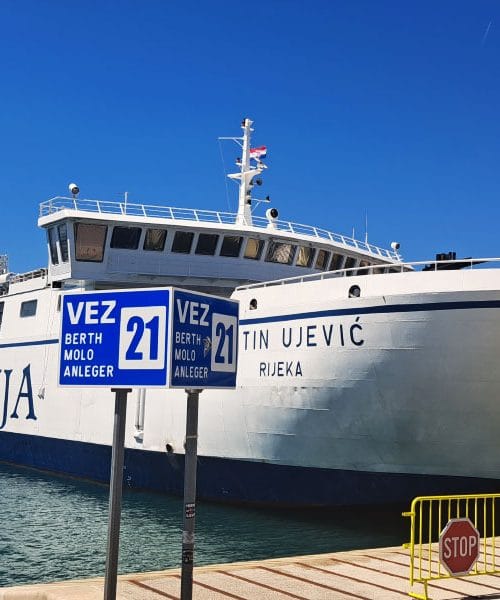 Na trajekt ali katamaran s psom? Pri Jadroliniji velja nekaj pravil