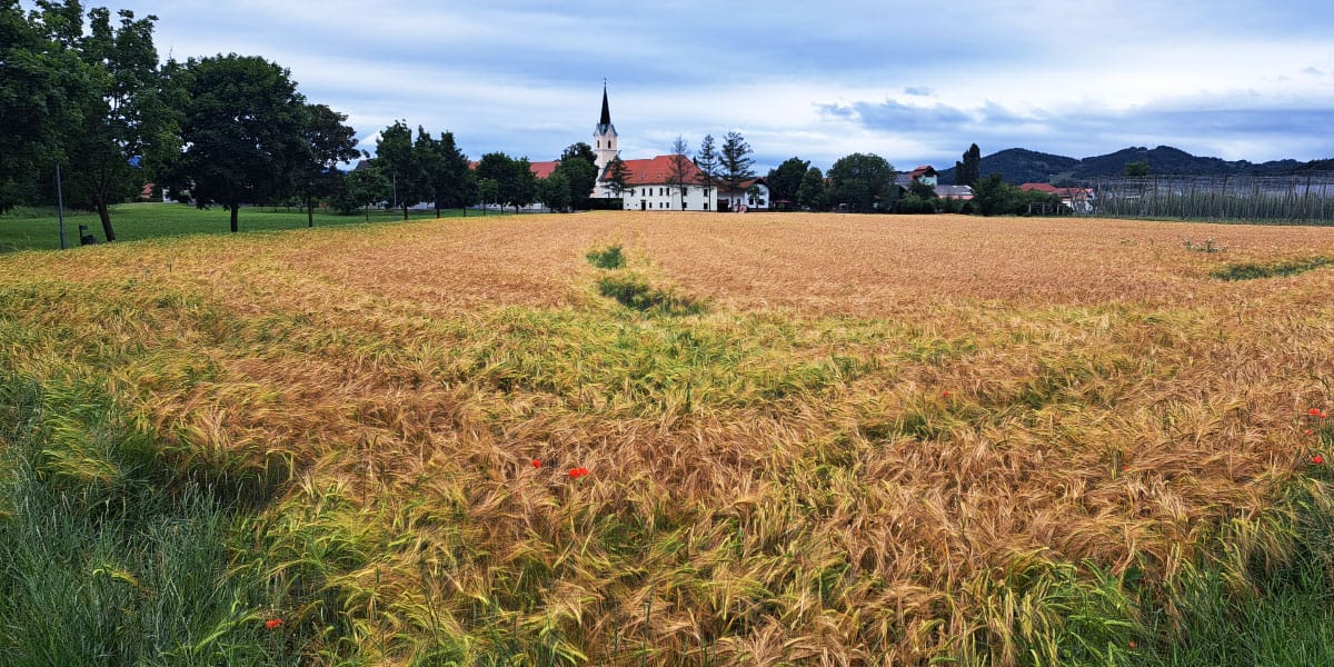 Pri Žalcu