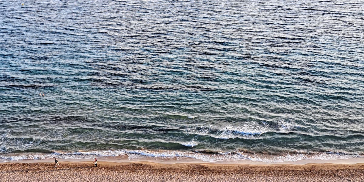 Hoja na plaži