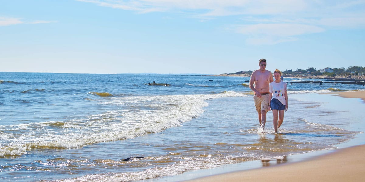 Hoja po plaži
