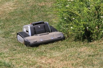 Robotska kosilnica v vročini: trava vam ne bo hvaležna, če jo ne kosite vsak dan