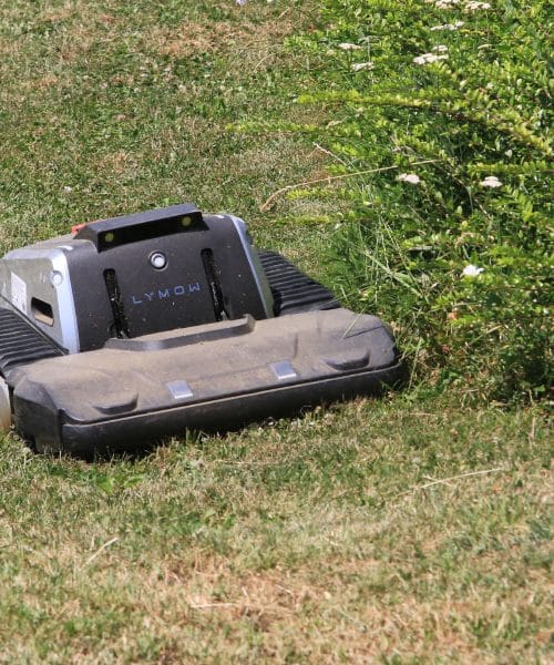 Robotska kosilnica v vročini: trava vam ne bo hvaležna, če jo ne kosite vsak dan