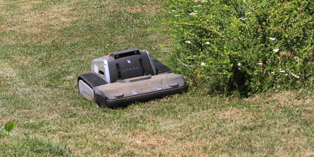 Robotska kosilnica v vročini: trava vam ne bo hvaležna, če jo ne kosite vsak dan