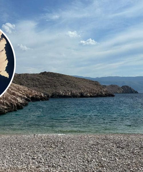 Uvala Konjska na Krku: plaža, do katere ne pridete z avtom, zato je še lepša