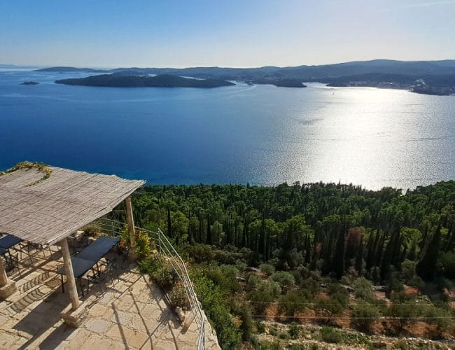 Mnogi Slovenci na dopustu prvič slišijo to žival in mislijo, da gre za volka