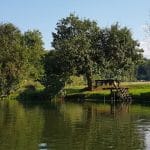 Krka, Boršt