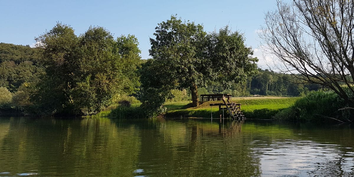Krka, Boršt