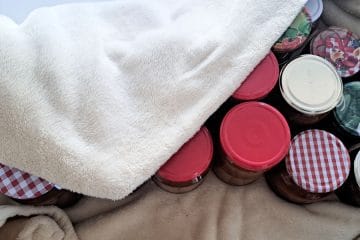 Koliko marmelade nastane iz petih kilogramov marelic? Številka marsikoga preseneti
