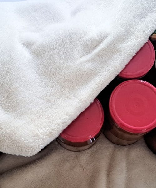 Koliko marmelade nastane iz petih kilogramov marelic? Številka marsikoga preseneti