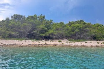 Kaj pomeni, če se na morju nenadoma nehajo oglašati črički?