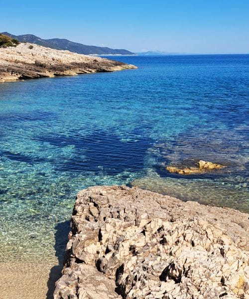 Če greste junija na Jadran, bodite pozorni na to poletno past