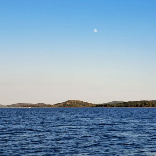 Kako polna luna vpliva na ponudbo rib v ribarnicah na morju?