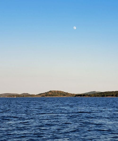 Kako polna luna vpliva na ponudbo rib v ribarnicah na morju?