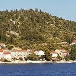 Ošljak, Zadar