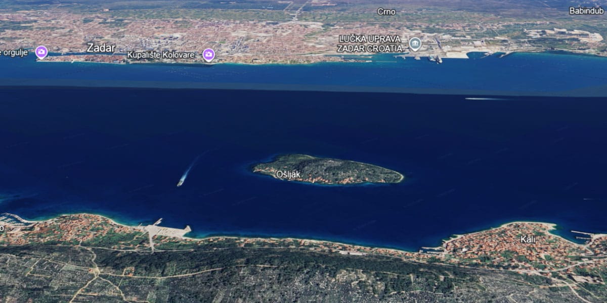 Ošljak, Zadar