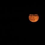 Polna luna