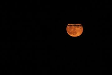 Polna luna junij 2026: zadnja junijska noč bo imela poseben nebesni ritem