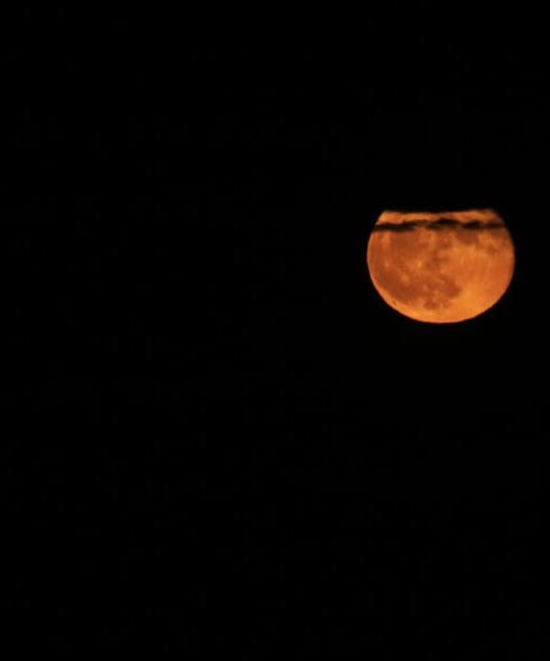 Polna luna junij 2026: zadnja junijska noč bo imela poseben nebesni ritem