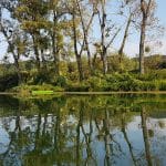 Reka Krka