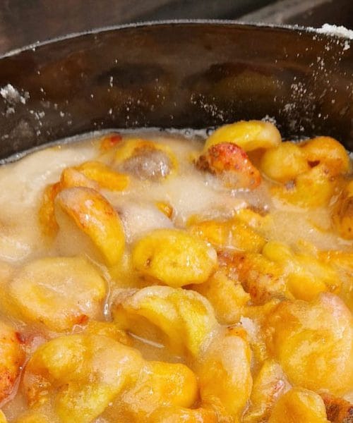 Koliko sladkorja dodati v marelično marmelado? Odgovor ni vedno enak